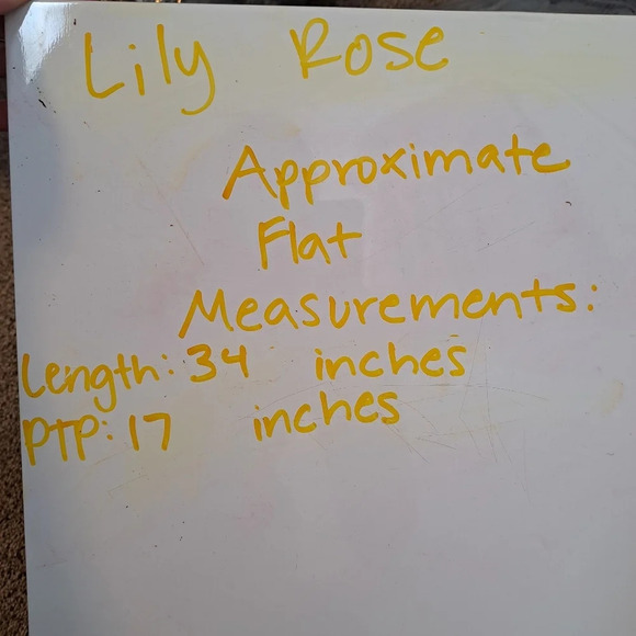 Fairy Floral Mini Tier Lily Rose Mesh Romantic Dainty Coquette Dress Size L - Picture 7 of 7